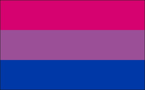 Bisexual Pride Flag with magenta, purple, and blue bands