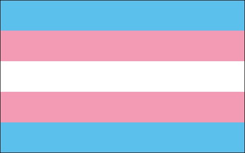 Transgender Pride Flag with light blue, pink, and white stripes